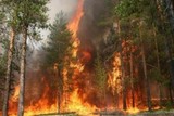 В Забайкалье площадь лесных пожаров превысила сотню тыс гектаров