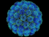 В Давосе названы три вируса, способные уничтожить все человечество
