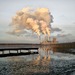 В России может появиться новый экологический налог