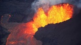 Извержения вулканов и человеческая деятельность угрожают массовым вымиранием видов