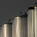 Россия и Белоруссия согласовали крайние сроки поставки качественной нефти
