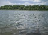 На озере Максимка погибли 7 человек, в том числе дети