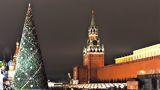 Посольство США в Москве получило 35 приглашений на новогоднюю елку в Кремль