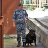 Взрывное устройство на Курском вокзале в Москве не нашли