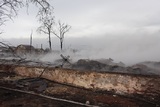 Правительство РФ запретило сжигать сухую траву