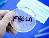 В Аргентине разработали метод экспресс-диагностики Эбола