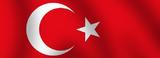 Администрация президента Турции разъяснила слова Эрдогана о свержении Асада