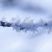 В Кемеровской области два человека погибли из-за сильных морозов