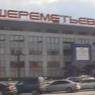 Стрельба в аэропорту Шереметьево: прилетевший пассажир ранен