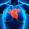 Кардиологи рассказали о трех самых полезных для сердца веществах