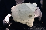 В Швеции найден загадочный метеорит, аналогов которому на Земле нет