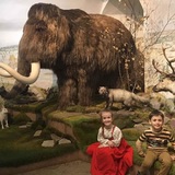 Вслед за Дедом Морозом рискуют остаться бомжами  мишки Владимирского музея природы