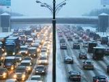 Московские автомобили встали из-за снегопада