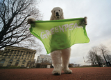 Активистов Greenpeace хотят засадить еще на три месяца