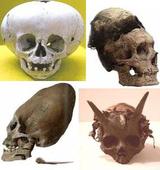 Сообщение о сундуке с черепами неизвестных существ исчезло с сайта «Интерфакса»
