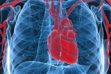 Ученые: Зимой у переживших инфаркт миокарда возрастает риск сердечного приступа