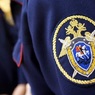 СК завел уголовное дело в связи с убийством 17-летней студентки в Домодедово