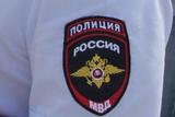 МВД подтвердило задержание православных погромщиков