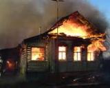 При пожаре в Ленобласти выжили только девочка и ее питомцы