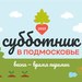 Губернатор Подмосковья: на Всероссийском субботнике в Московской области будет высажено 4,5 тысячи деревьев