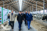 Губернатор Подмосковья открыл новый животноводческий комплекс «Бортниково» в Ступине