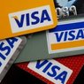 Visa считает господдержку национальных платежных систем риском