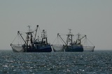 Россия лишит Японию квоты на вылов рыбы у южных Курил