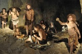 Неандертальцы оказались любителями сырого мяса