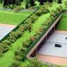 В Росси построят первый экодук