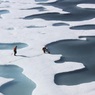 В Арктике ученые обнаружили «бомбу замедленного действия»