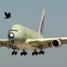 «Трансаэро» закупит самые большие самолеты в мире