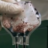 Японцы планируют запустить массовое производство искусственной крови