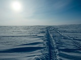 На старейшей российской научной станции в Антарктиде тушили крупный пожар
