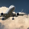 Летевший в Сочи самолет из-за птицы совершил вынужденную посадку в Саратове