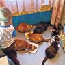 Лишенная родительских прав москвичка избавилась от 18 кошек, чтобы вернуть детей