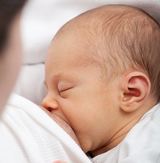 Молоко матери влияет на социальное поведение сыновей