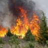 Медведев поручил установить причины пожаров в Хакасии