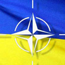 Украина просит Вашингтон о статусе союзника вне НАТО