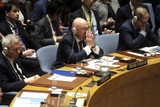 Совбез ООН не поддержал идею РФ пригласить ЛНР и ДНР к обсуждению выборов