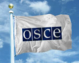 ОБСЕ решила увеличить штат наблюдателей в зоне конфликта в Донбассе