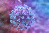 Ученые синтезировали способное блокировать коронавирус антитело