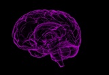 Ученые обнаружили простой способ улучшить память