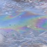 В ЯНАО произошел крупный разлив нефти