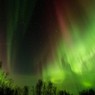 Северное сияние «нарисовало» в небе над Швецией гигантского волка (ФОТО)