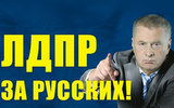 Адвокат добивается от Жириновского извинений перед кавказцами