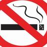 В Минздраве прокомментировали перспективу поднятия цен на табак