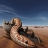 Ученые пролили свет на загадку исчезновения лап у змей