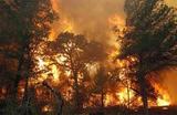 В Пожарском районе Приморья локализован лесной пожар