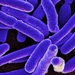 Ученые обнаружили под морским дном вселенную «внеземной» жизни