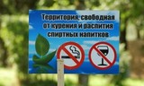 Капков предложил узаконить продажу алкоголя в московских парках